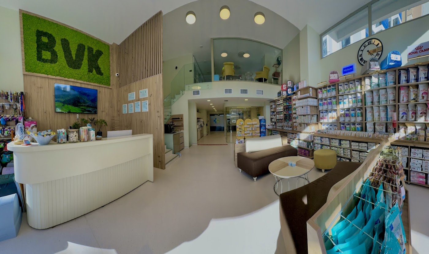 Bölge Veteriner Kliniği karşılama alanı — aydınlık, ferah, yeşil BVK duvarı